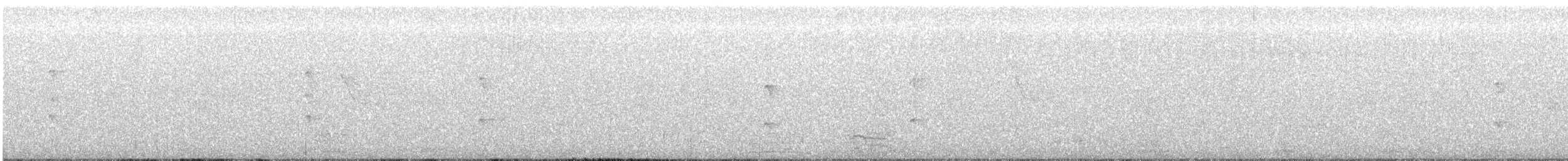 Water Rail - ML642752971