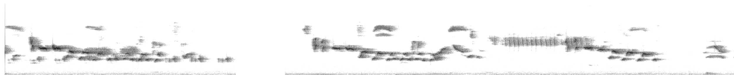 White-browed Scrub-Robin - ML642753142