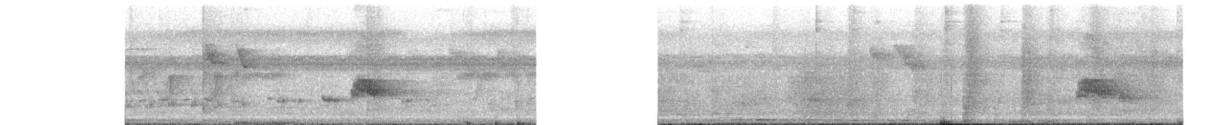 Gray-bellied Cuckoo - ML642753338