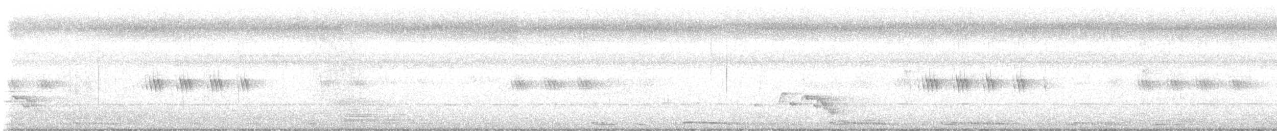 カワラバト（ドバト、家畜型） - ML642754511