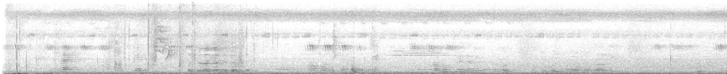 Loten's Sunbird - ML642754667