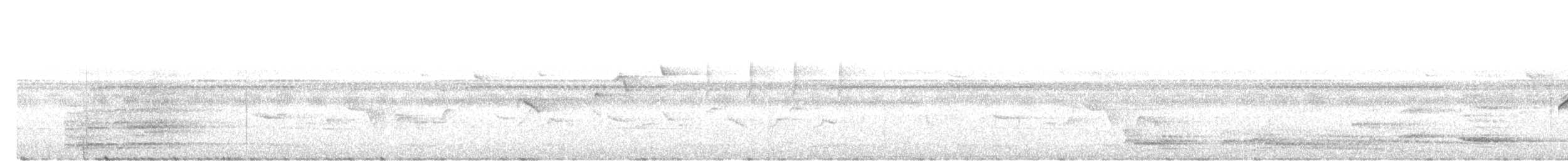 Медівник рогодзьобий - ML642755108