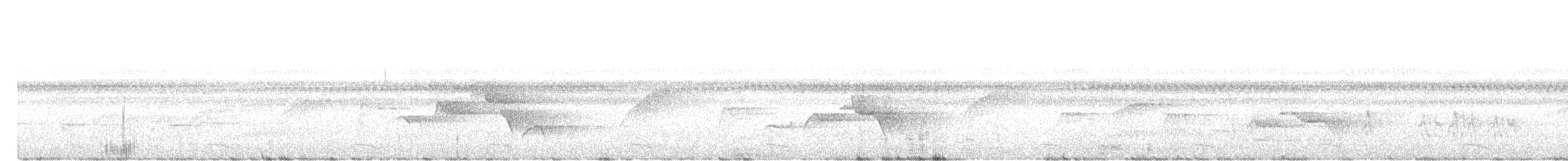 bruntesia - ML642755173