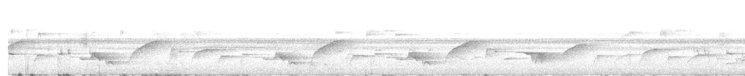 bruntesia - ML642755286