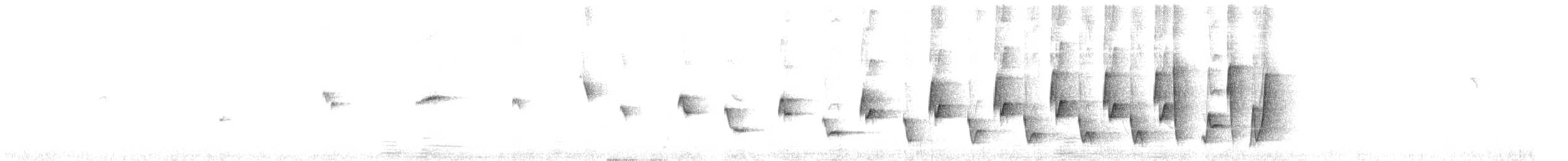 Noisy Scrub-bird - ML642755955