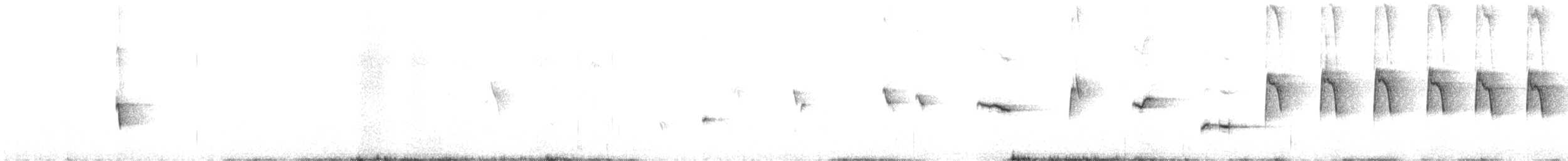 Noisy Scrub-bird - ML642755961