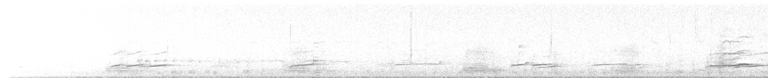 Courlis cendré - ML642758356