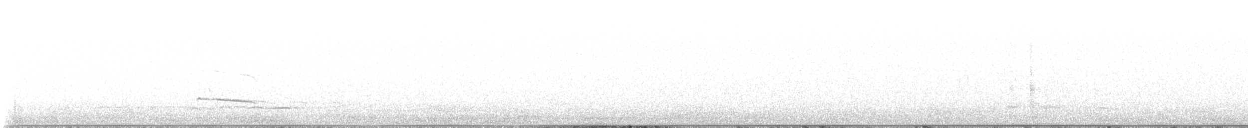 Say's Phoebe - ML642758936