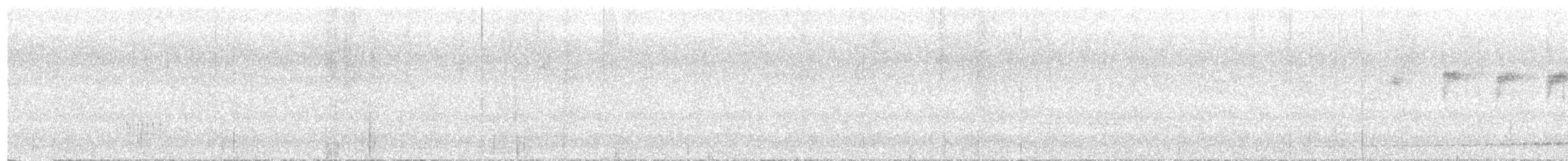 Rufous-tailed Antthrush - ML642759259