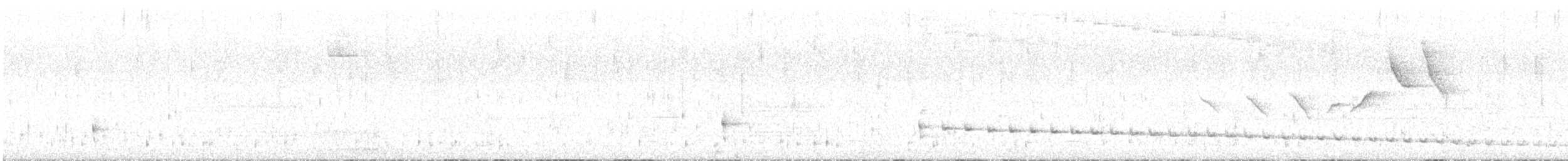 Slaty Bristlefront - ML642759263