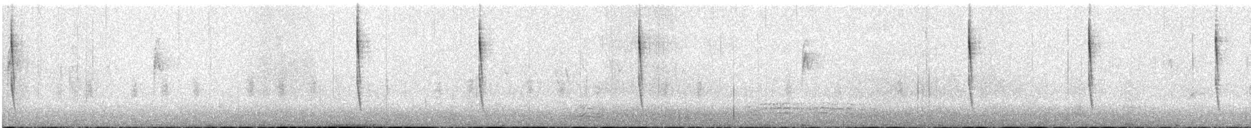 Pacific Wren - ML642759558