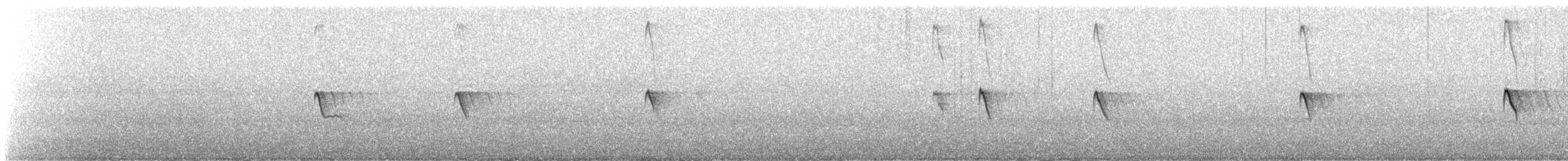 Black Phoebe - ML642759586