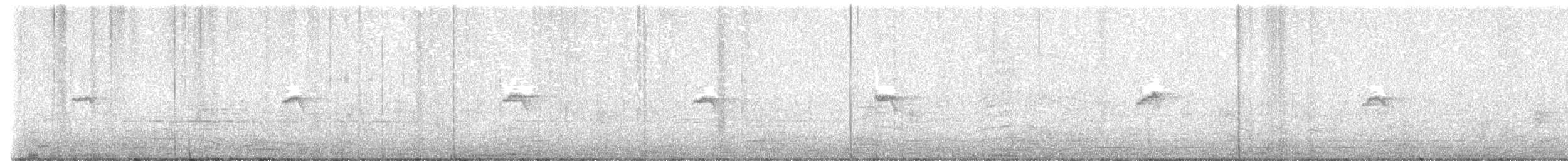 Common Chiffchaff (Siberian) - ML642760714