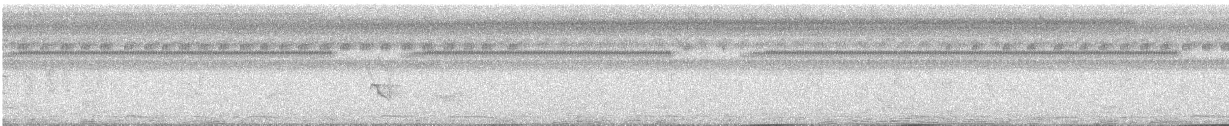 Northern Tropical Pewee - ML642763188