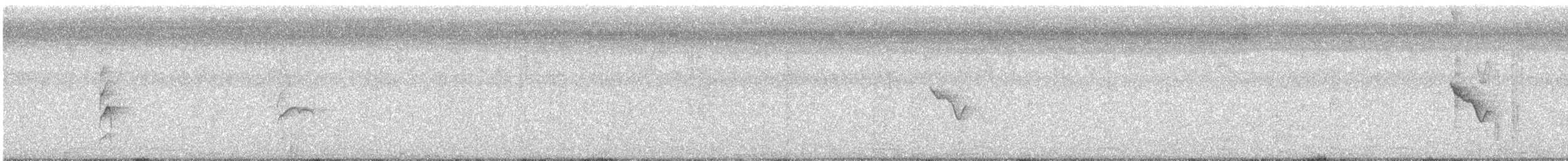Morelet's Seedeater - ML642763637