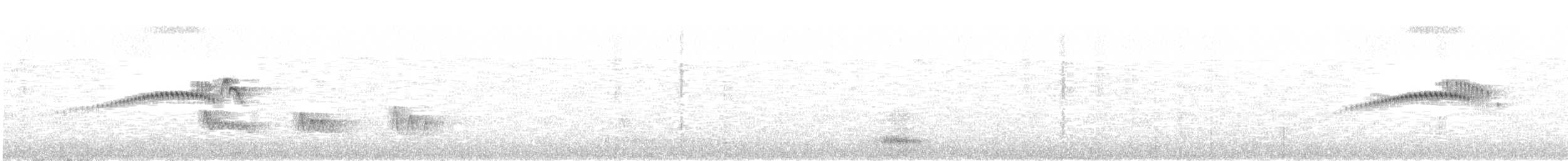 Plain Tyrannulet - ML642764316