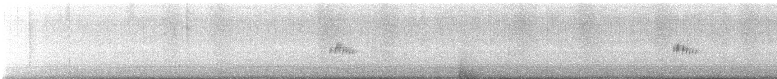 Gray Kingbird - ML642767598
