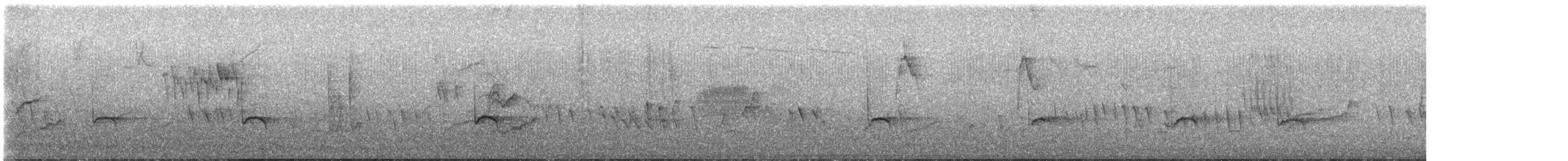Turdus sp. - ML642767732