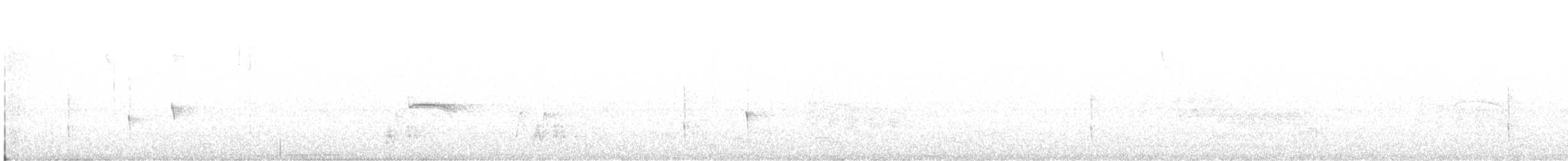Pearly-vented Tody-Tyrant - ML642770571