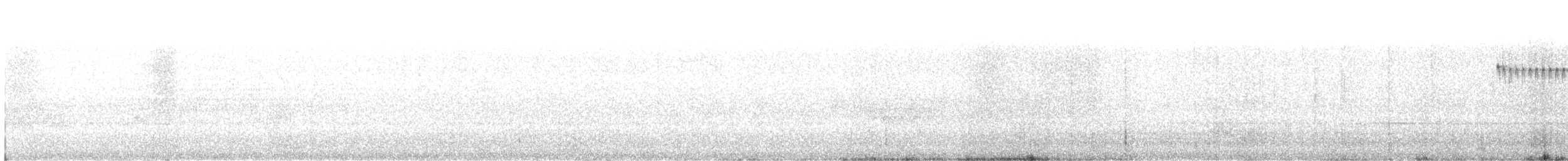 datlíček proužkobřichý - ML642770758