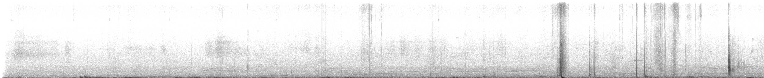 White-throated Swift - ML642771532