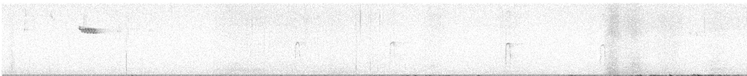 Brown Creeper - ML642772337