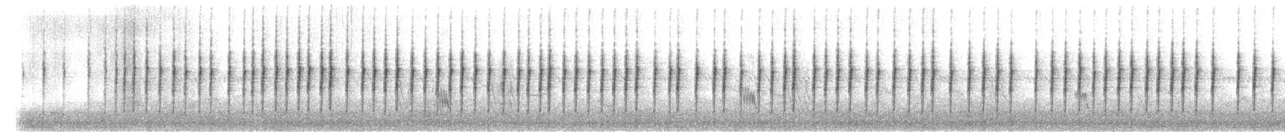 Savi's Warbler - ML642772341