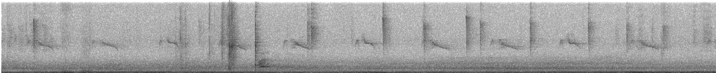 Black Phoebe - ML642772836