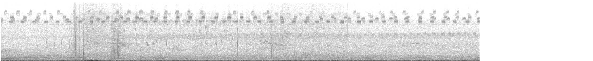 Northern House Wren - ML642774584