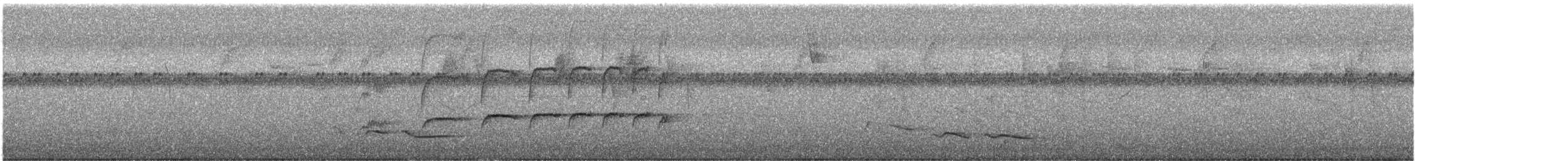 Barred Becard - ML642775144