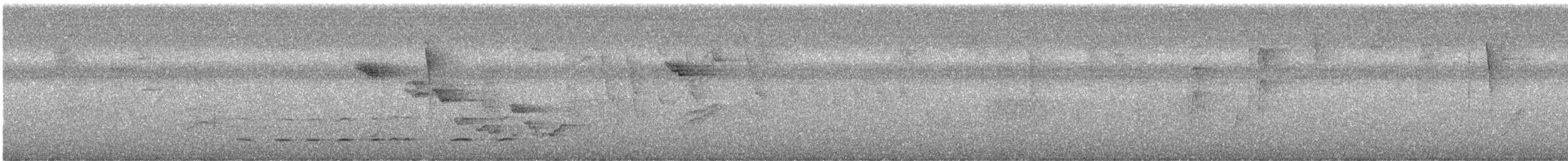 Wing-barred Piprites - ML642775151