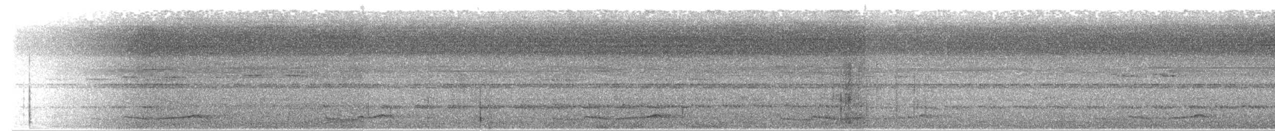 Дрімлюга парагвайський - ML642776941