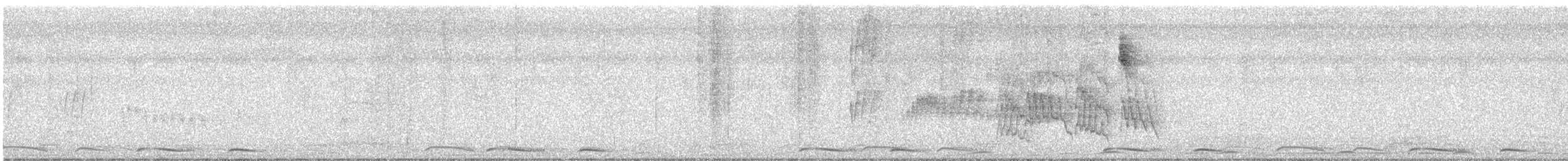 Social Flycatcher - ML642777631