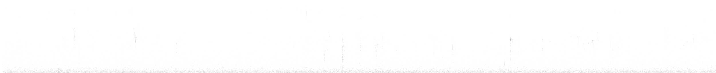 Sick's Swift - ML642777761