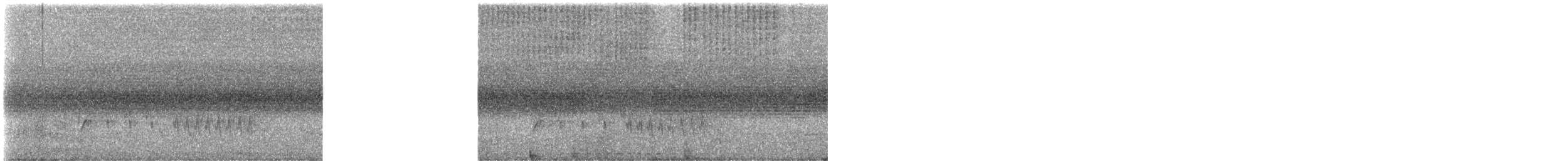 Southern House Wren - ML642778754