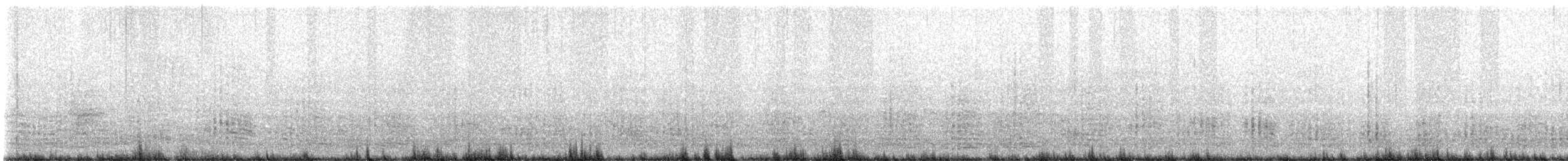 Sula - ML642779387