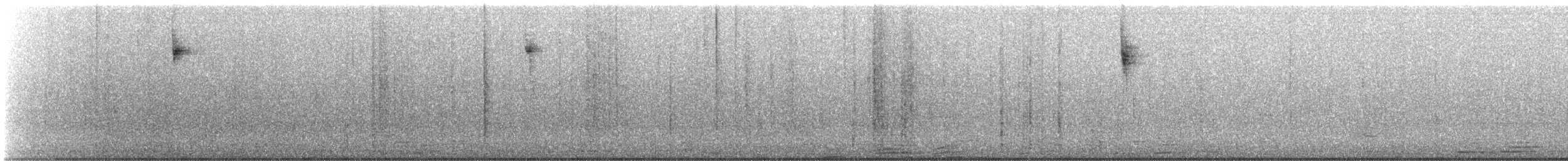 フタスジスズメモドキ - ML642780290