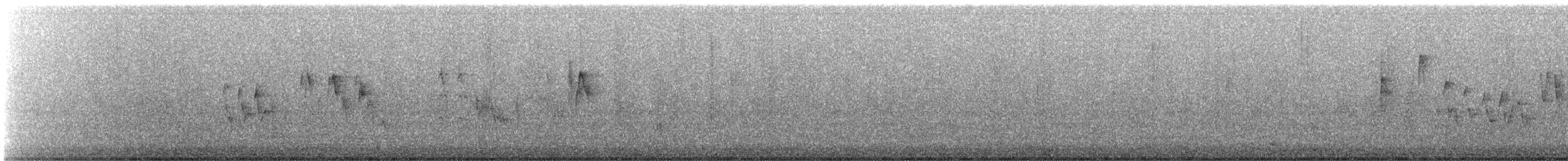 Northern House Wren (Northern) - ML642780602