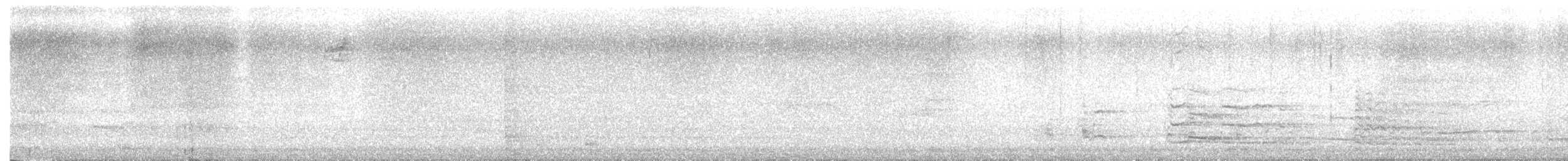 American Herring Gull - ML642780627