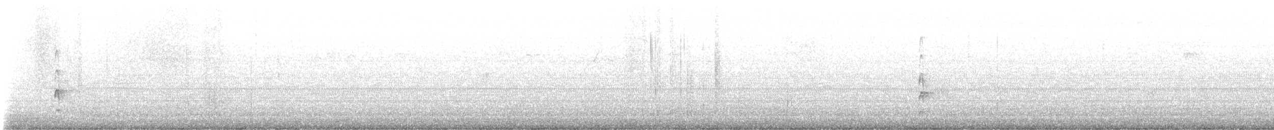 Couch's Kingbird - ML642780850