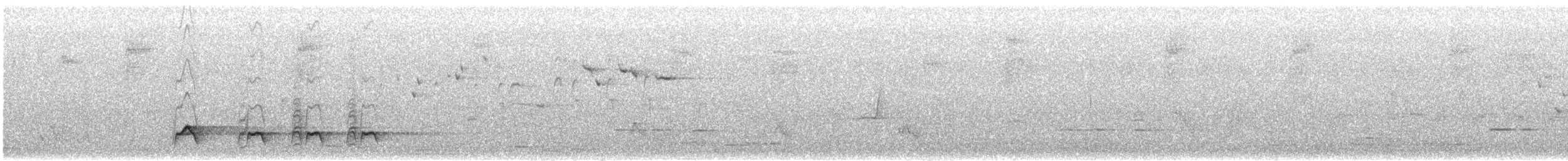 Hooded Robin - ML642782168