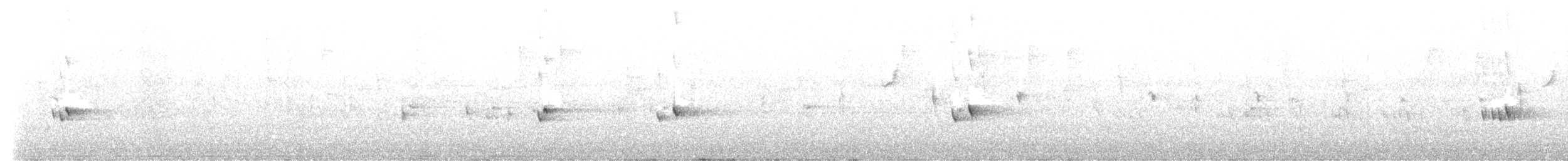 Long-tailed Silky-flycatcher - ML642783488