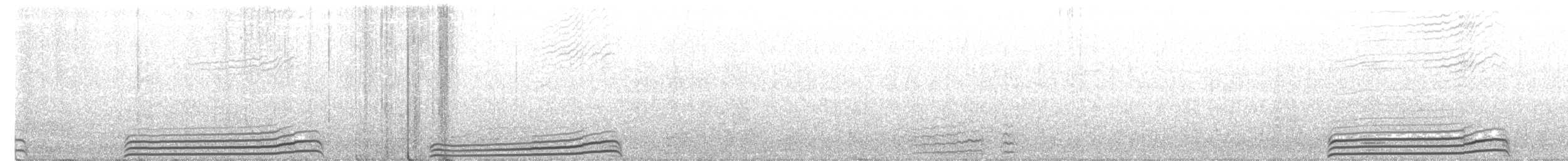 Common Diving-Petrel - ML642783489
