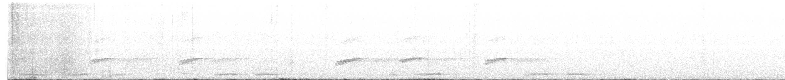 Little Spotted Kiwi - ML642783742