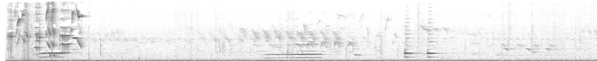 North Island Kokako - ML642783931