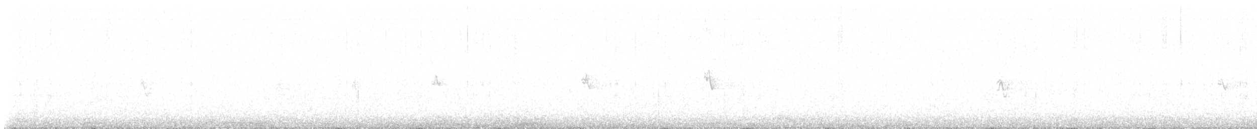 høvdingugle - ML642784828