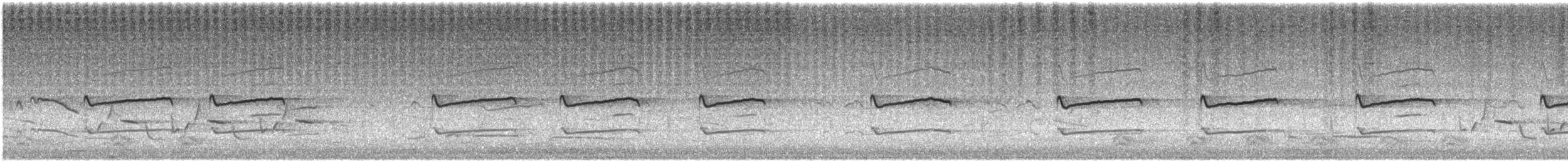 Killdeer - ML642785970