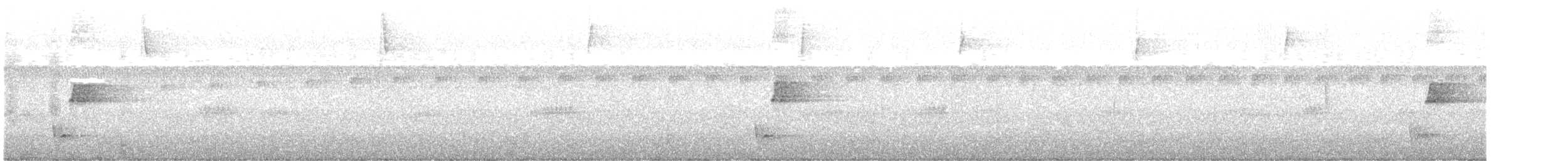 Riverside Wren - ML642786441
