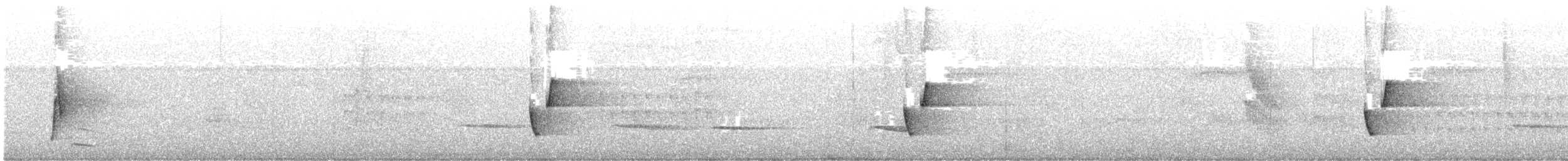Riverside Wren - ML642786443