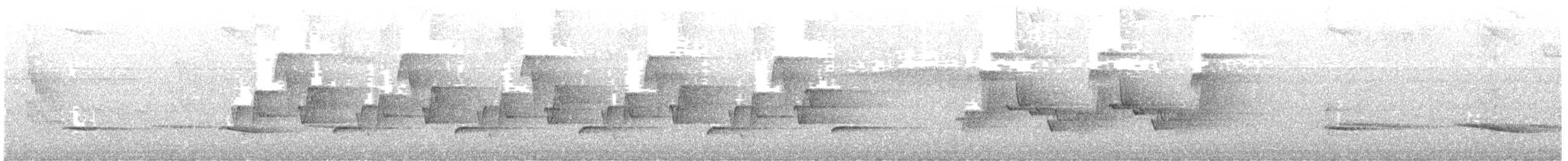 Riverside Wren - ML642786445